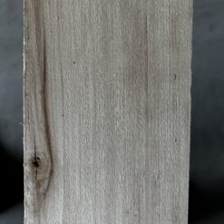 Poplar - Image 7