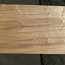 Poplar - Image 4