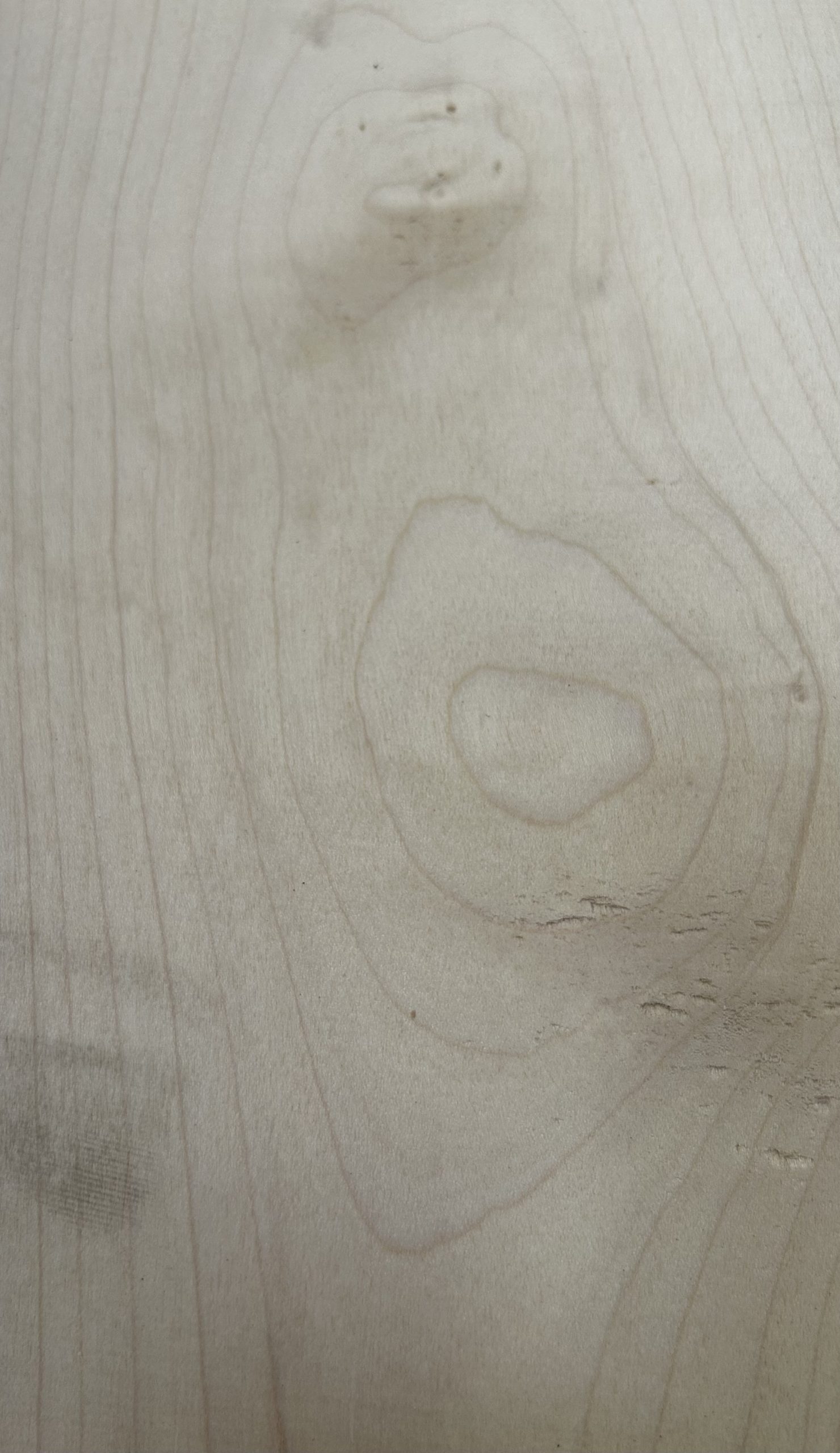 Maple - Image 2
