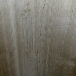 Maple - Image 7