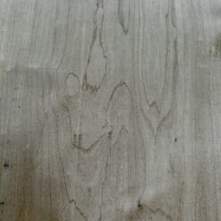 Maple - Image 6