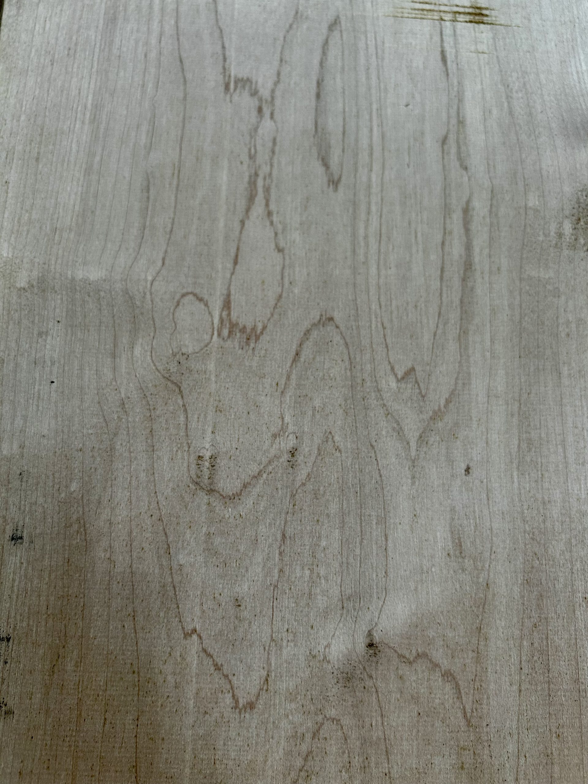Maple - Image 6