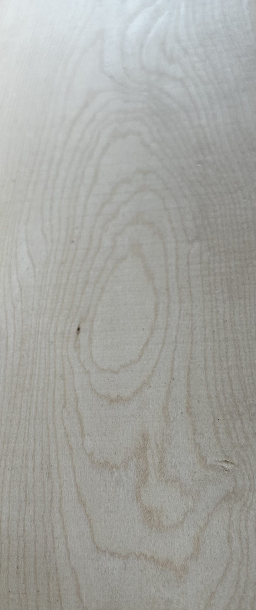 Maple