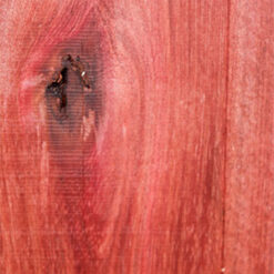 Bloodwood - Image 4
