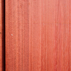 Bloodwood - Image 3