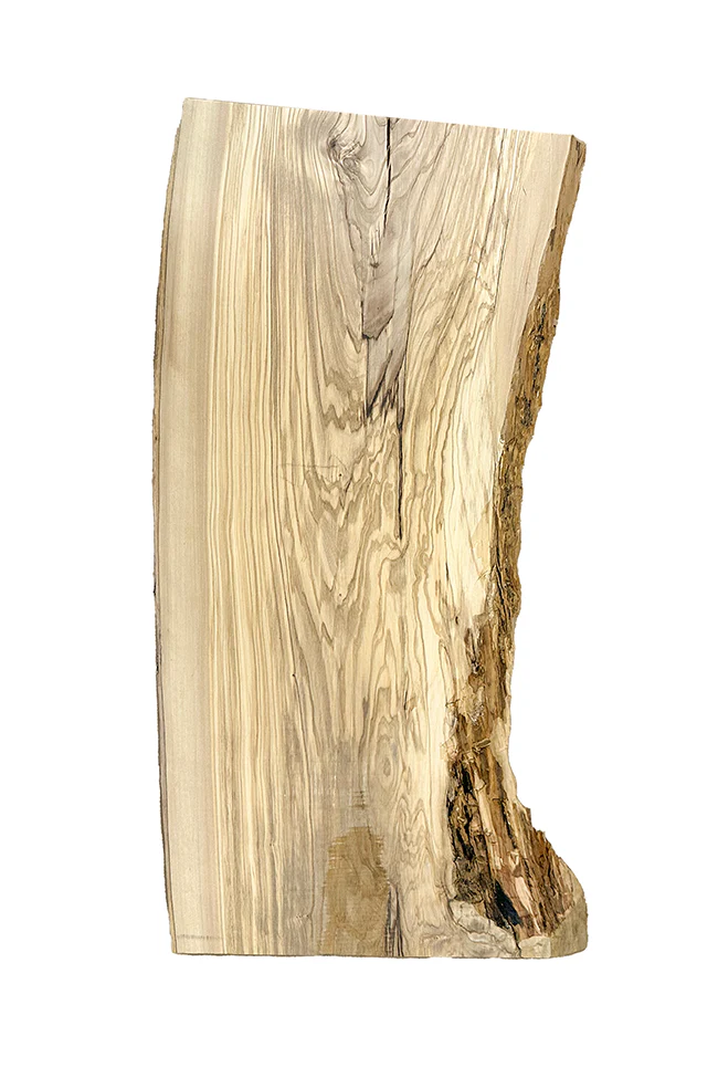 Wild Olive - Image 3