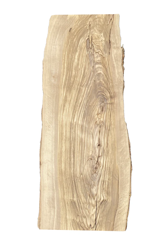 Wild Olive - Image 4