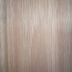 Saligna, Blue gum, Southern blue gum - Image 4