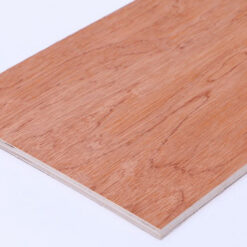 Bingtangor Ply